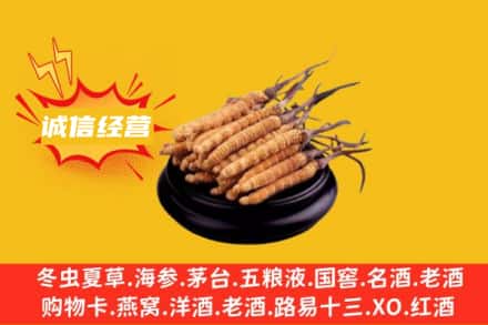 吕梁回收冬虫夏草